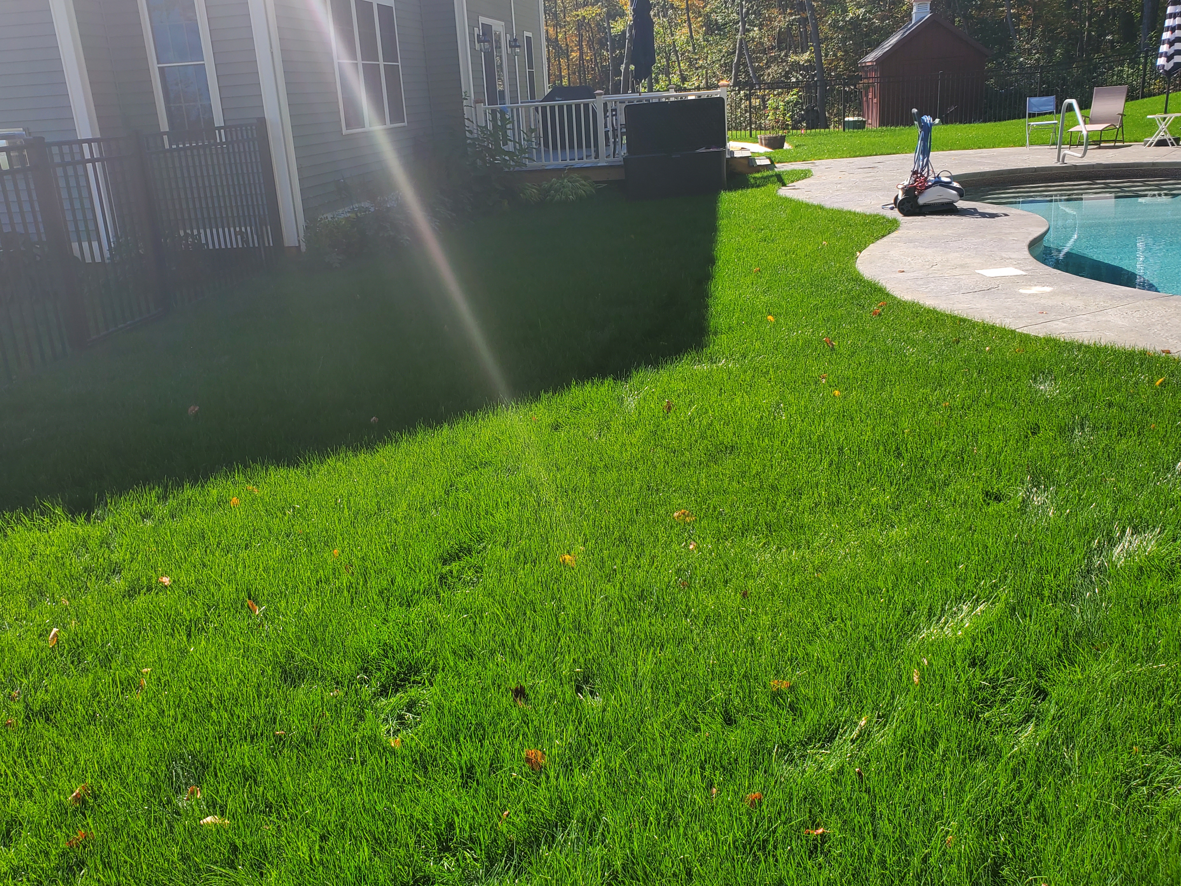 Fall Clean Up, Leaf Removal, and Yard Debris Removal Services | Harwinton, CT