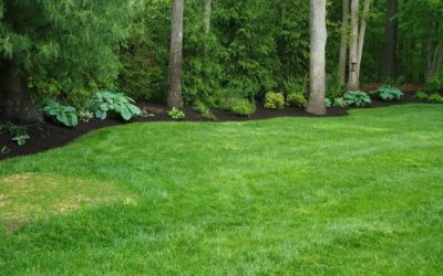 Thomaston, CT | Lawn Care Service | Weed Control | Fertilizer