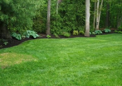 Lawn Care Services in Thomaston, CT by Riley Tree and Landscaping, LLC.