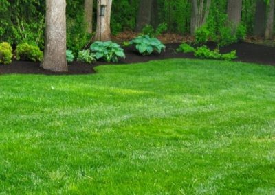 Watertown, CT Lawn Care Service, New Lawn Installations