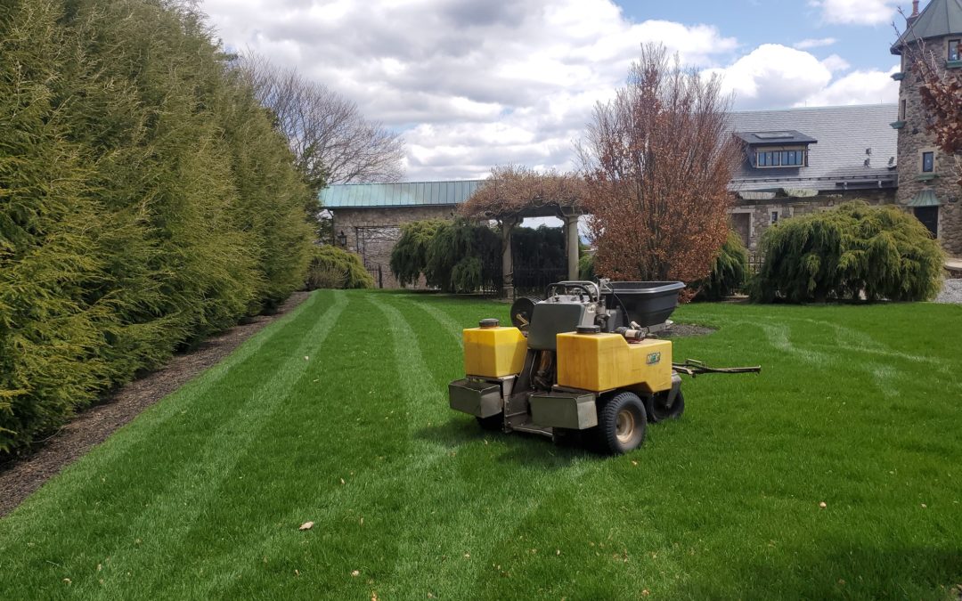 Naugatuck, CT – Lawn Fertilization & Weed Control Services | Lawn Care Maintenance in Naugatuck