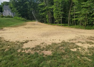 Woodbridge, CT | Tree Removal, New Lawn Installation and Yard Grading Project