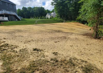 Woodbridge, CT | Tree Removal, New Lawn Installation and Yard Grading Project