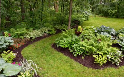 Installation of Trees, Shrubs, Flower Beds | Middlebury, CT