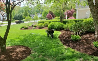 Installation of Trees, Shrubs, Flower Beds | Seymour, CT