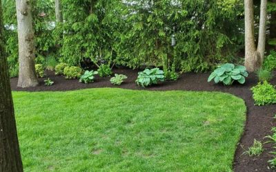 Seymour, CT | Best Weed & Crabgrass Lawncare Services
