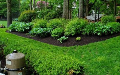 Landscape Installation of Trees and Shrubs | Watertown, CT