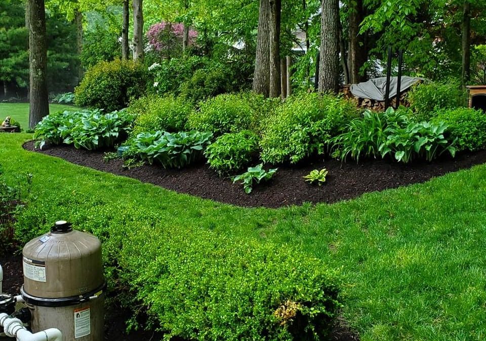 Landscape Installation of Trees and Shrubs | Watertown, CT