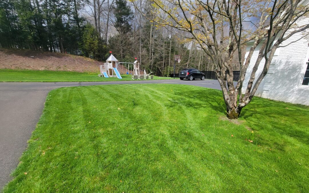 Watertown, CT | Spring Yard Cleanup | Landscape Maintenance