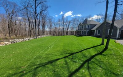 Bethany, CT | Spring Yard Cleanup | Landscape Maintenance