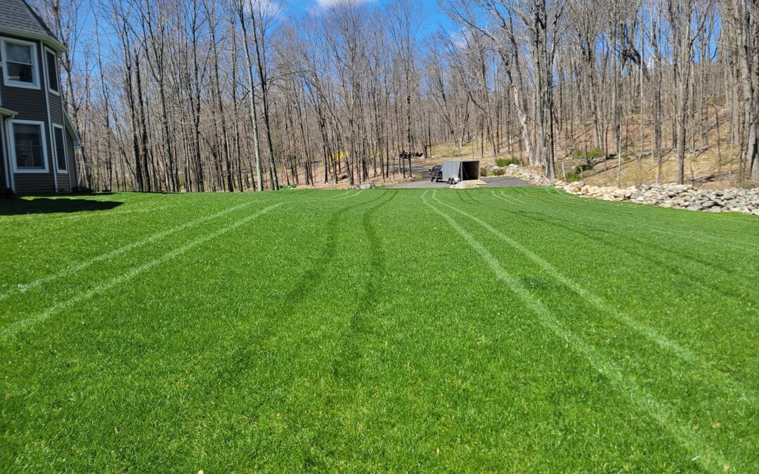 Weed and Crabgrass Control, Fertilizer Services | Watertown, CT