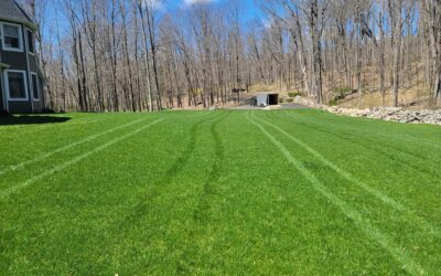 Bethany, CT |  Best Lawn Fertilization and Weed Control Company