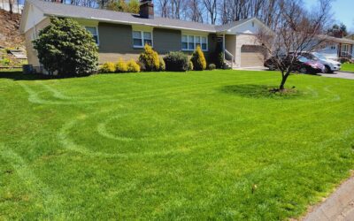 Waterbury, CT | Lawn Care Programs | Fertilizer, Weed Control