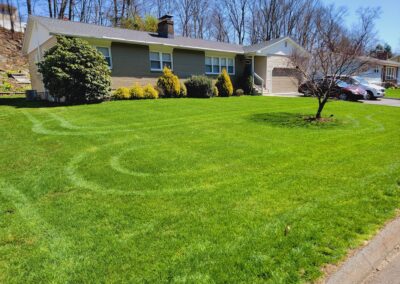 Best Lawn Fertilization and Weed Control Company in Waterbury, CT