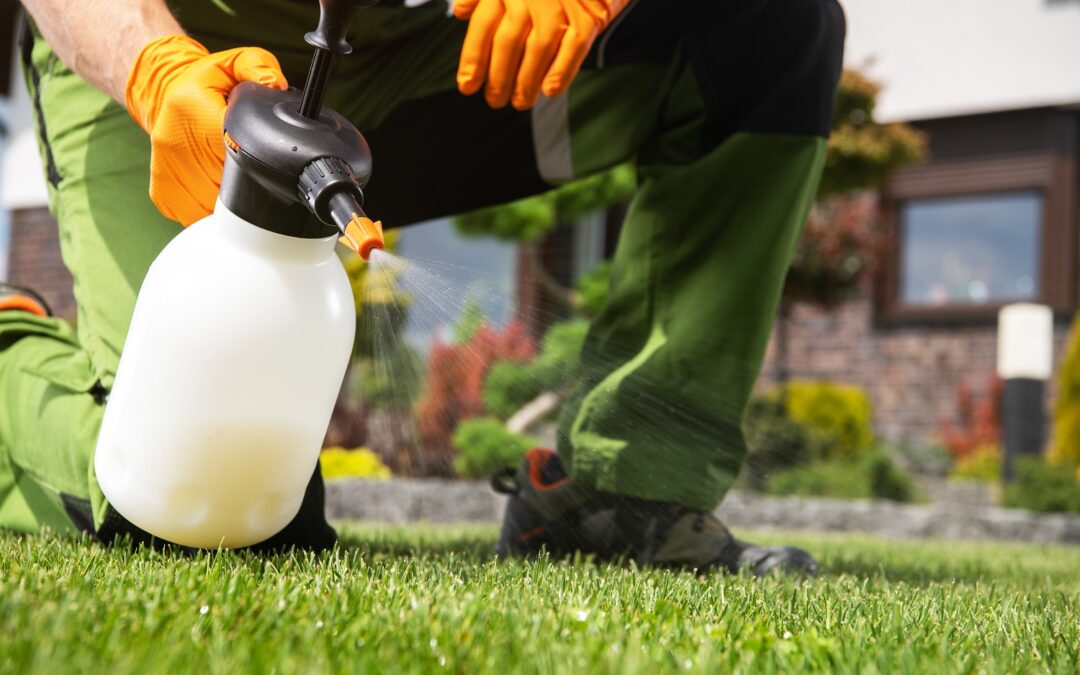 Pesticide Application & Pest Control Services in Oxford, CT