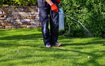 Tick Control, Brush and Weed Clearing Services in Thomaston, CT